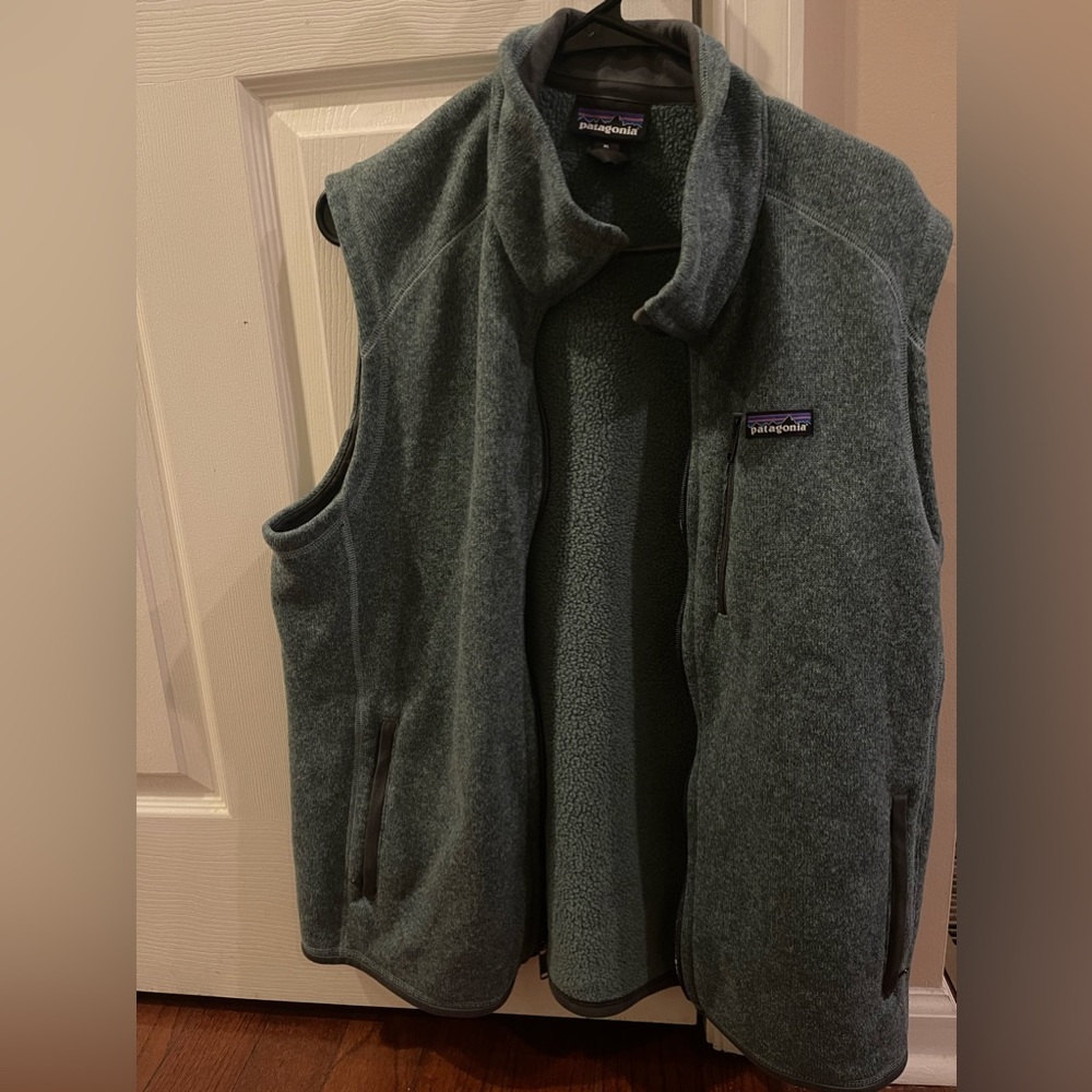 Mens Patagonia Vest